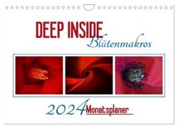 DEEP INSIDE - Blütenmakros als Monatsplaner (Wandkalender 2024 DIN A4 quer), CALVENDO Monatskalender