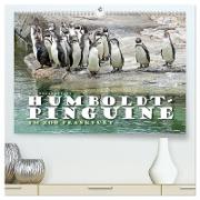 HUMBOLDTPINGUINE (hochwertiger Premium Wandkalender 2024 DIN A2 quer), Kunstdruck in Hochglanz