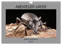 ABENTEUER KÄFER (Wandkalender 2024 DIN A4 quer), CALVENDO Monatskalender
