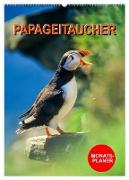 Papageitaucher Monatsplaner (Wandkalender 2024 DIN A2 hoch), CALVENDO Monatskalender