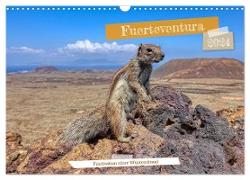 Fuerteventura - Faszination einer Wüsteninsel (Wandkalender 2024 DIN A3 quer), CALVENDO Monatskalender