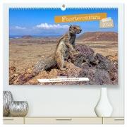 Fuerteventura - Faszination einer Wüsteninsel (hochwertiger Premium Wandkalender 2024 DIN A2 quer), Kunstdruck in Hochglanz