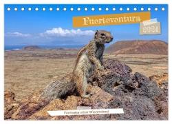 Fuerteventura - Faszination einer Wüsteninsel (Tischkalender 2024 DIN A5 quer), CALVENDO Monatskalender