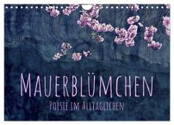 Mauerblümchen - Poesie im Alltäglichen (Wandkalender 2024 DIN A4 quer), CALVENDO Monatskalender