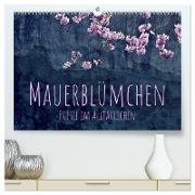 Mauerblümchen - Poesie im Alltäglichen (hochwertiger Premium Wandkalender 2024 DIN A2 quer), Kunstdruck in Hochglanz