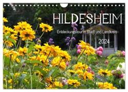 Hildesheim Entdeckungstour in Stadt und Landkreis (Wandkalender 2024 DIN A4 quer), CALVENDO Monatskalender