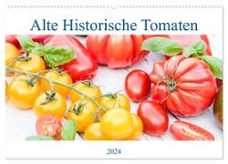Alte Historische Tomaten (Wandkalender 2024 DIN A2 quer), CALVENDO Monatskalender
