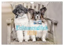 Fellnasenglück (Wandkalender 2024 DIN A4 quer), CALVENDO Monatskalender