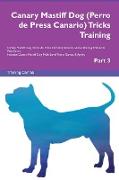 Canary Mastiff Dog (Perro de Presa Canario) Tricks Training Canary Mastiff Dog Tricks & Games Training Tracker & Workbook. Includes