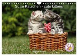 Süße Kätzchen - cute kittens (Wandkalender 2024 DIN A4 quer), CALVENDO Monatskalender