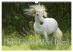 Dein Freund, dein Pferd (Wandkalender 2024 DIN A3 quer), CALVENDO Monatskalender