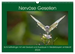 Nervöse Gesellen (Wandkalender 2024 DIN A3 quer), CALVENDO Monatskalender