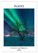 Aurora - Polarlicht des Nordens (Wandkalender 2024 DIN A2 hoch), CALVENDO Monatskalender