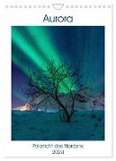 Aurora - Polarlicht des Nordens (Wandkalender 2024 DIN A4 hoch), CALVENDO Monatskalender