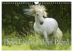 Dein Freund, dein Pferd (Wandkalender 2024 DIN A4 quer), CALVENDO Monatskalender