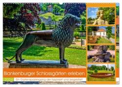 Blankenburger Schlossgärten erleben (Wandkalender 2024 DIN A2 quer), CALVENDO Monatskalender