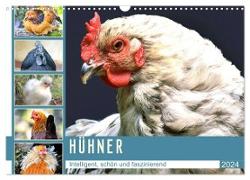 Hühner. Intelligent, schön und faszinierend (Wandkalender 2024 DIN A3 quer), CALVENDO Monatskalender