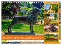 Blankenburger Schlossgärten erleben (Wandkalender 2024 DIN A4 quer), CALVENDO Monatskalender