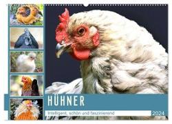 Hühner. Intelligent, schön und faszinierend (Wandkalender 2024 DIN A2 quer), CALVENDO Monatskalender
