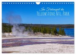 Im Farbenspiel des Yellowstone Natl. Park (Wandkalender 2024 DIN A4 quer), CALVENDO Monatskalender
