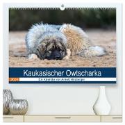 Kaukasischer Owtscharka (hochwertiger Premium Wandkalender 2024 DIN A2 quer), Kunstdruck in Hochglanz