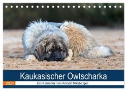 Kaukasischer Owtscharka (Tischkalender 2024 DIN A5 quer), CALVENDO Monatskalender