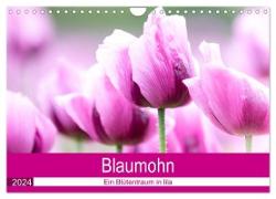 Blaumohn - Ein Blütentraum in lila (Wandkalender 2024 DIN A4 quer), CALVENDO Monatskalender