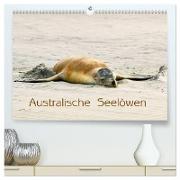 Australische Seelöwen (hochwertiger Premium Wandkalender 2024 DIN A2 quer), Kunstdruck in Hochglanz