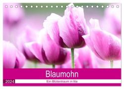 Blaumohn - Ein Blütentraum in lila (Tischkalender 2024 DIN A5 quer), CALVENDO Monatskalender