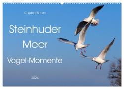 Steinhuder Meer, Vogel-Momente (Wandkalender 2024 DIN A2 quer), CALVENDO Monatskalender