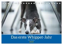 Das erste Whippet-Jahr (Tischkalender 2024 DIN A5 quer), CALVENDO Monatskalender