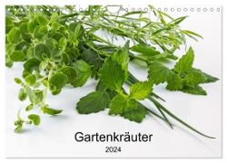 Gartenkräuter (Wandkalender 2024 DIN A4 quer), CALVENDO Monatskalender