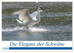 Die Eleganz der Schwäne (Wandkalender 2024 DIN A2 quer), CALVENDO Monatskalender