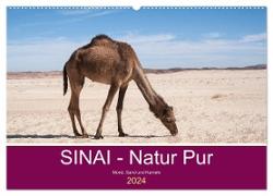 Sinai - Natur Pur (Wandkalender 2024 DIN A2 quer), CALVENDO Monatskalender