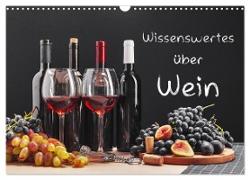 Wissenswertes über Wein (Wandkalender 2024 DIN A3 quer), CALVENDO Monatskalender