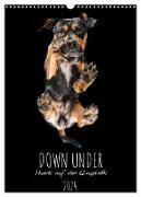 Down Under - Hunde auf der Glasplatte (Wandkalender 2024 DIN A3 hoch), CALVENDO Monatskalender