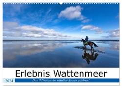 Erlebnis Wattenmeer (Wandkalender 2024 DIN A2 quer), CALVENDO Monatskalender