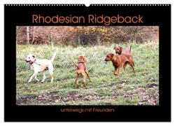 Rhodesian Ridgeback unterwegs mit Freunden (Wandkalender 2024 DIN A2 quer), CALVENDO Monatskalender