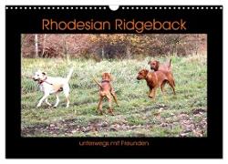 Rhodesian Ridgeback unterwegs mit Freunden (Wandkalender 2024 DIN A3 quer), CALVENDO Monatskalender