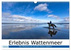 Erlebnis Wattenmeer (Wandkalender 2024 DIN A3 quer), CALVENDO Monatskalender