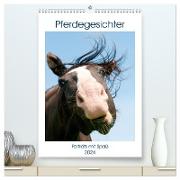 Pferdegesichter - Porträts mit Spaß (hochwertiger Premium Wandkalender 2024 DIN A2 hoch), Kunstdruck in Hochglanz