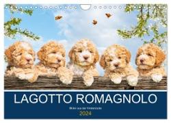Lagotto Romagnolo - Bilder aus der Kinderstube (Wandkalender 2024 DIN A4 quer), CALVENDO Monatskalender