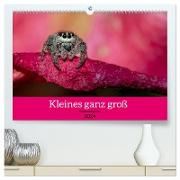 Kleines ganz groß - Makrofotografie (hochwertiger Premium Wandkalender 2024 DIN A2 quer), Kunstdruck in Hochglanz