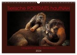 Tierische PORTRAITS hautNAH (Wandkalender 2024 DIN A3 quer), CALVENDO Monatskalender