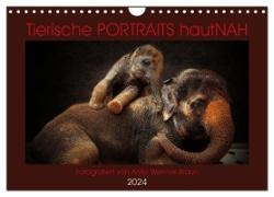 Tierische PORTRAITS hautNAH (Wandkalender 2024 DIN A4 quer), CALVENDO Monatskalender