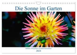 Die Sonne im Garten - Dahlien, fotografiert von Ralf Kretschmer. (Wandkalender 2024 DIN A4 quer), CALVENDO Monatskalender
