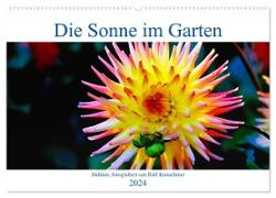 Die Sonne im Garten - Dahlien, fotografiert von Ralf Kretschmer. (Wandkalender 2024 DIN A2 quer), CALVENDO Monatskalender