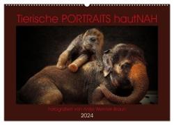 Tierische PORTRAITS hautNAH (Wandkalender 2024 DIN A2 quer), CALVENDO Monatskalender