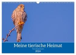 Meine tierische Heimat (Wandkalender 2024 DIN A3 quer), CALVENDO Monatskalender