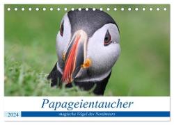 Papageientaucher 2024 - Magische Vögel des Nordmeers (Tischkalender 2024 DIN A5 quer), CALVENDO Monatskalender